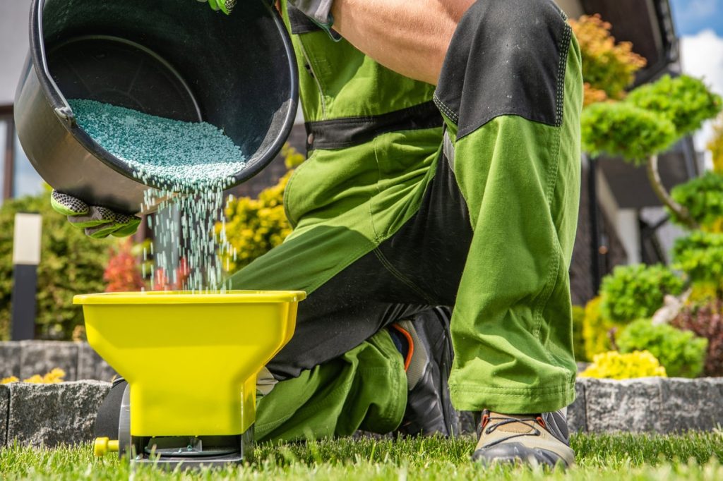Gardener Filling His Handheld Spreader With Granul 2023 11 27 05 05 13 Utc (1) Min (1)