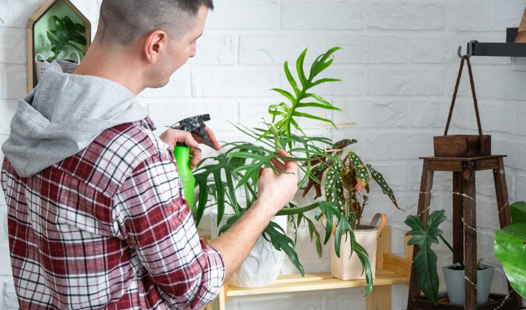 Man Plant Breeder Examines And Admires Home Plants 2023 11 27 05 32 24 Utc (1) Min (1)