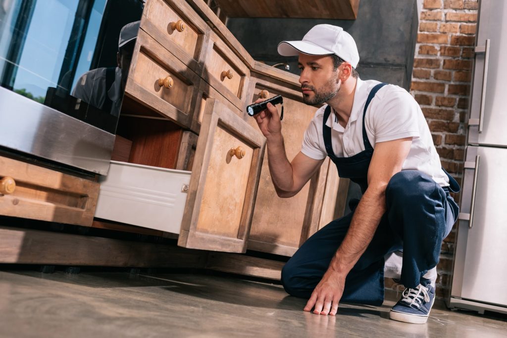 Pest Control Worker Examining Kitchen With Flashli 2022 12 16 20 52 30 Utc (1) Min (1)