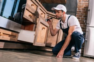 Pest Control Worker Examining Kitchen With Flashli 2022 12 16 20 52 30 Utc (1) Min (1)