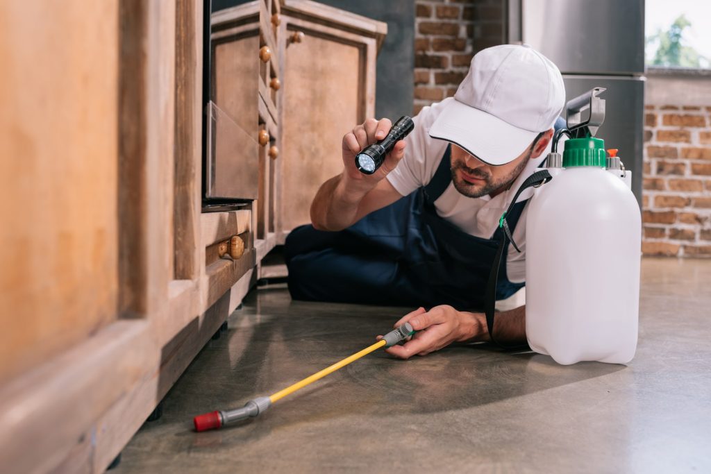 Pest Control Worker Lying On Floor And Spraying Pe 2023 11 27 05 15 55 Utc (1) Min (1)