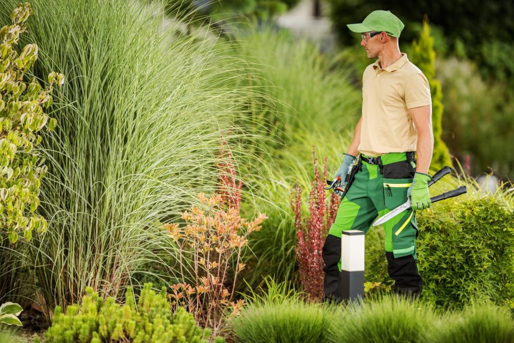 Professional Gardener Inside A Mature Residential 2023 11 27 05 27 35 Utc (1) Min (1)