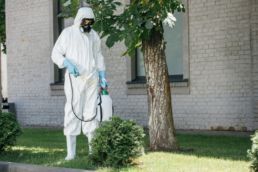 Pest Control Worker Spraying Pesticides On Bush 2023 11 27 05 07 45 Utc (1) Min