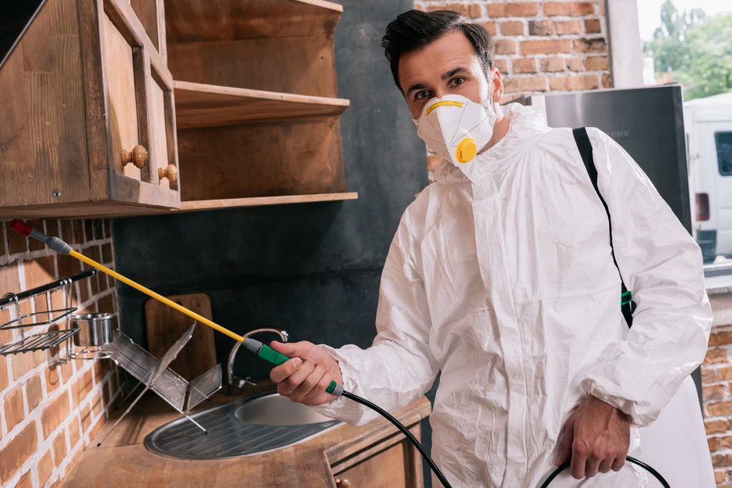 Pest Control Worker Spraying Pesticides Under Shel 2023 11 27 05 21 10 Utc (1) Min