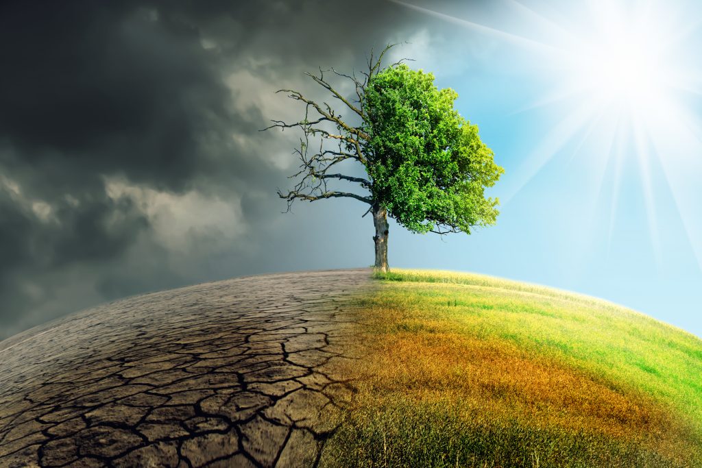 Climate,change,withered,earth