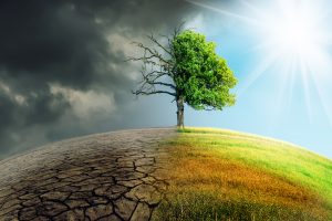 Climate,change,withered,earth