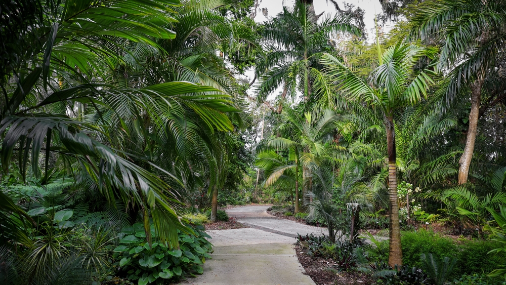 A,scenic,alley,in,harry,p,leu,gardens,,,variety