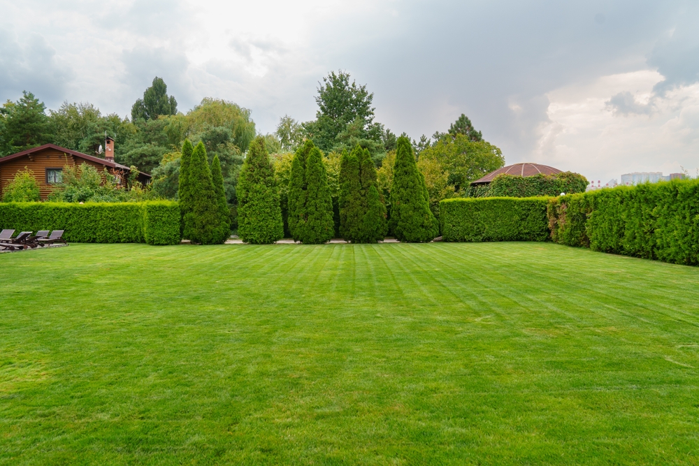 lawn care